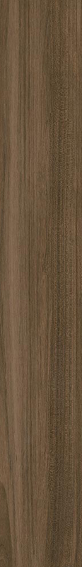 carrelage imitation bois Belice Noce 180 x 26cm, Grès cérame, pour intérieur et extérieur