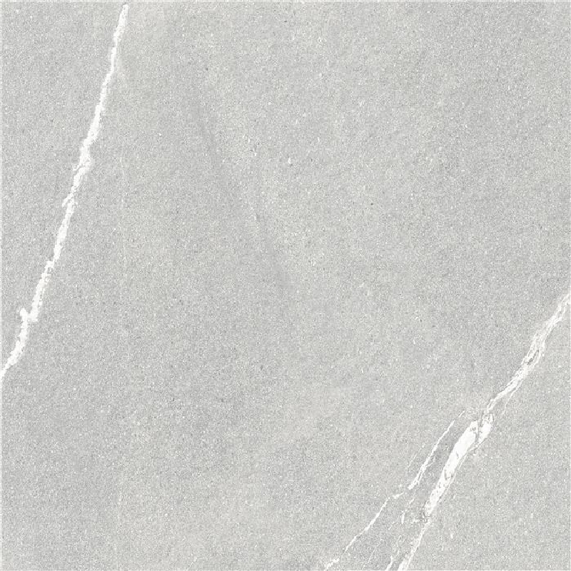 Dalle Eastford 60x60x2cm 60 x 60cm, Grès cérame, pour intérieur et extérieur