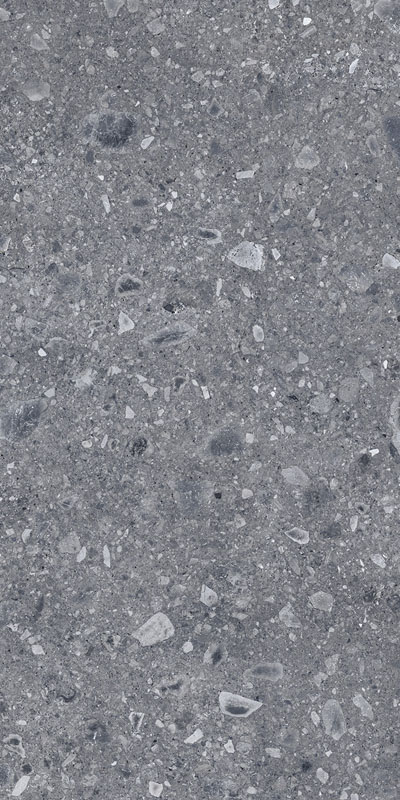 Carrelage Ceppo Di Gre anthracite 30x60cm - R10 60 x 30cm, Grès cérame, pour intérieur et extérieur