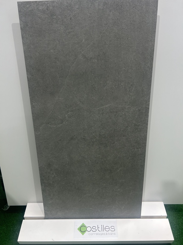 Carrelage Eden 120x60cm rectifié 120 x 60cm, Grès cérame, pour intérieur et extérieur