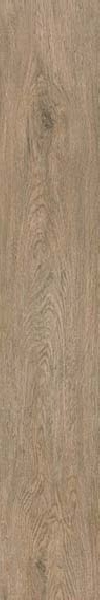 Carrelage imitation bois Ess.Tree Roble IN-OUT 120 x 20cm, Grès cérame, pour intérieur et extérieur