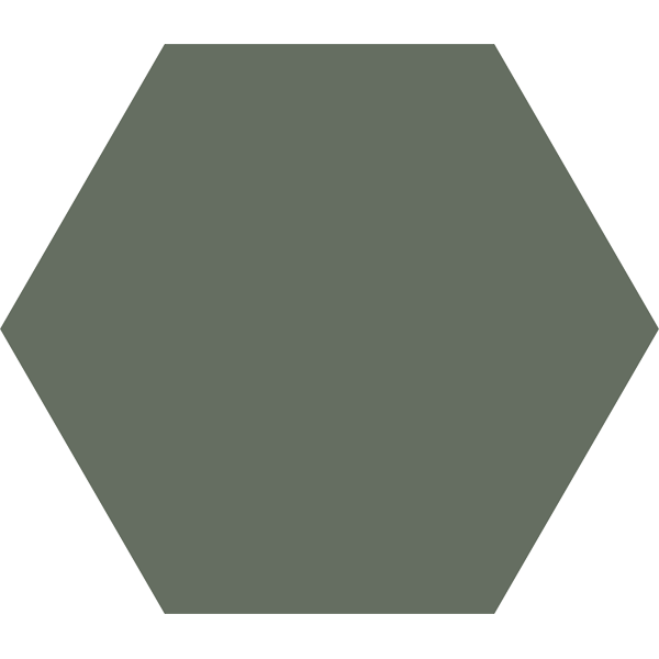 Carrelage hexagonal Basic Moss 25 x 22cm, Grès cérame, pour intérieur et extérieur