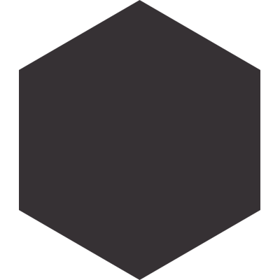 Basic Black Hexagonal 25cm 25 x 22cm, Grès cérame, pour intérieur et extérieur