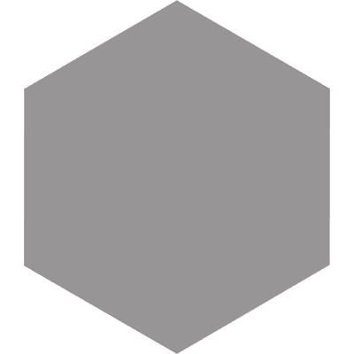 Basic Grey Hexagonal 25cm 25 x 22cm, Grès cérame, pour intérieur et extérieur