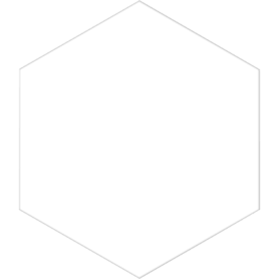 Basic White Hexagonal 25cm 25 x 22cm, Grès cérame, pour intérieur et extérieur