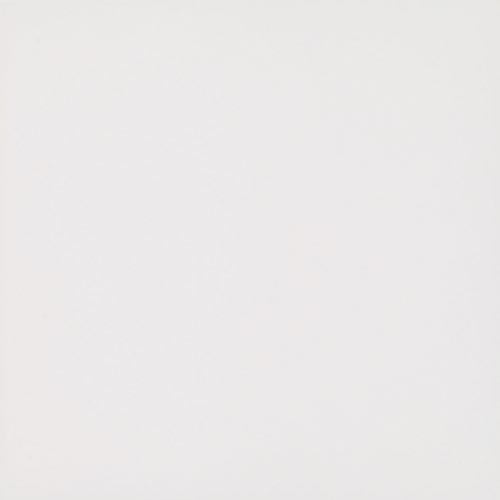 Carrelage Basic White 25 x 25cm, Grès cérame, pour intérieur et extérieur